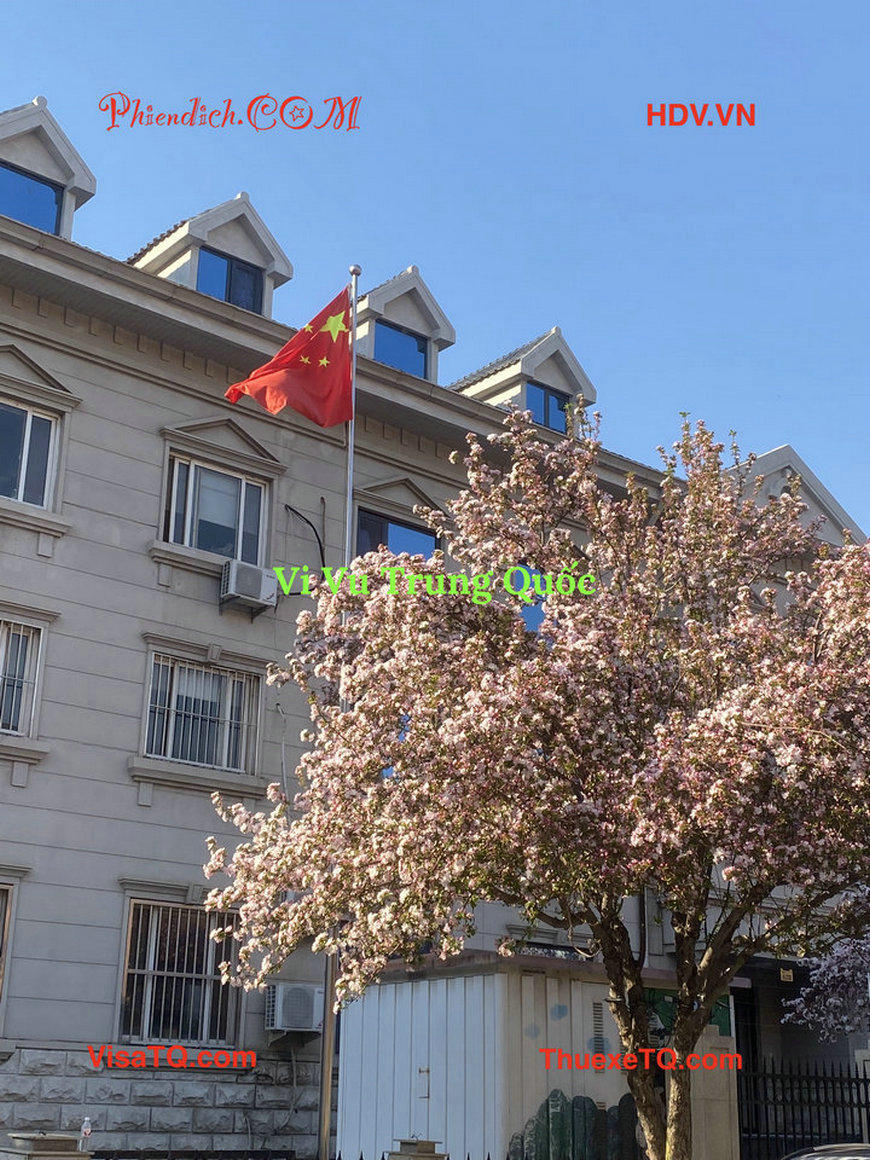 Công ty Trung Quốc cung cấp HDV tiếng Việt tại thủ đô Bắc Kinh.