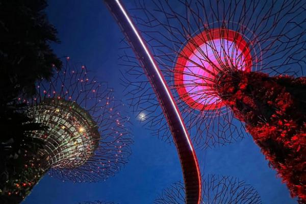 Du lịch tự túc Singapore